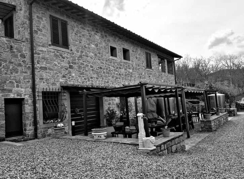 Billet Exploitation agricole Le Palaie : visite des vignobles, dégustations de plateaux de produits, de vins et d'huile