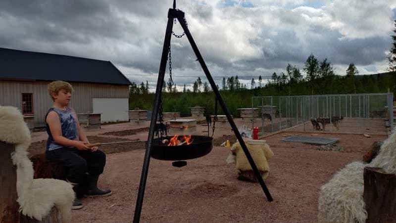 Billet Ljørdalen-Trysil : visite du chenil Bergli Husky