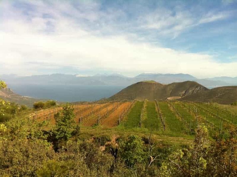Billet Patra : Kalavryta, grotte des lacs et visite de vignoble