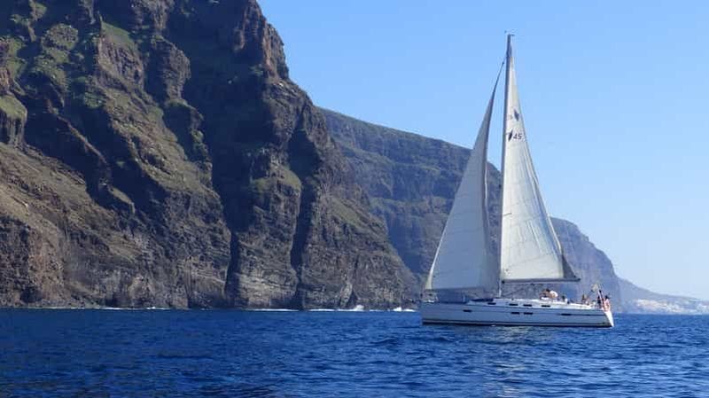 Billet Tenerife : Croisière d'observation des baleines des Gigantes en bateau à voile
