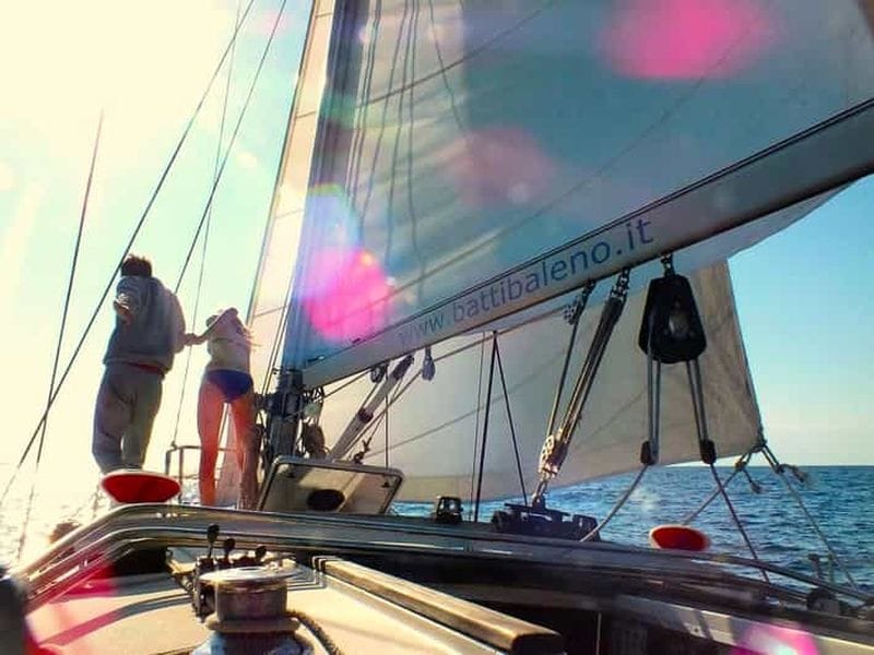 Billet Sanremo : en voilier dans le sanctuaire Pelagos sur la piste des baleines