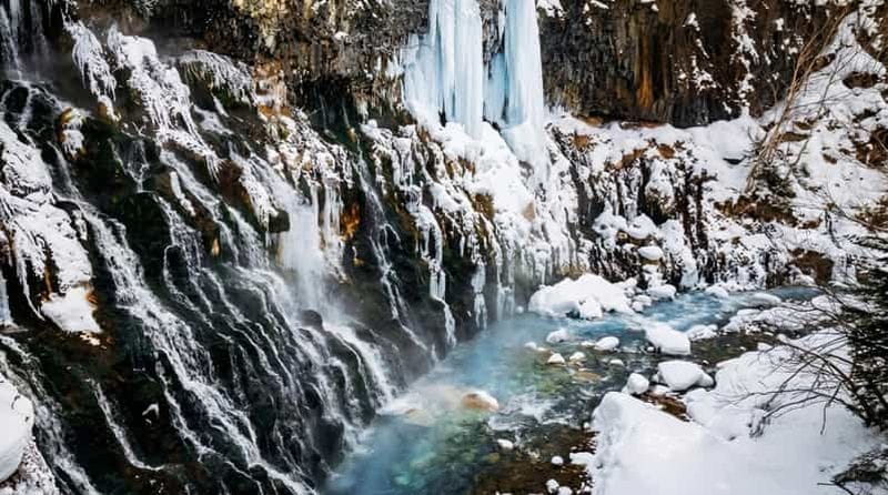 Billet Sapporo : zoo d'Asahiyama, cascade de Shirahige et étang bleu