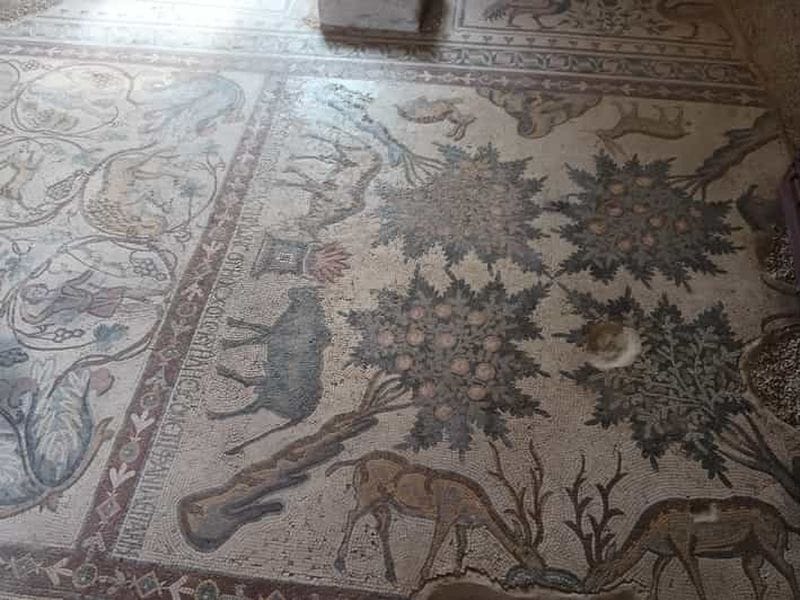 Billet Les merveilles de la mosaïque jordanienne : Umm ar-Rasas, Madaba et le mont Nebo