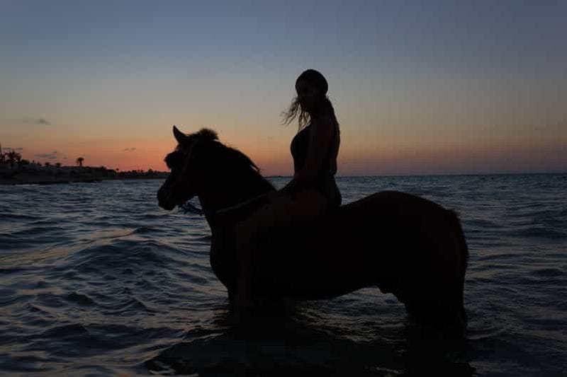 Billet Syros : aventure privée d'équitation et de baignade en mer