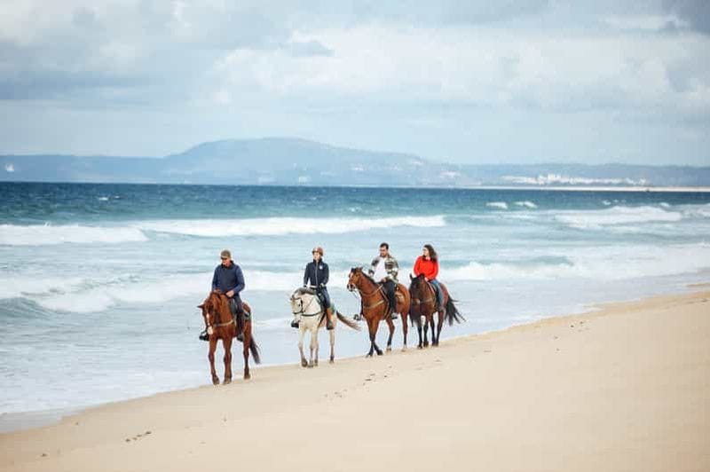 Billet Comporta : Randonnée guidée à cheval