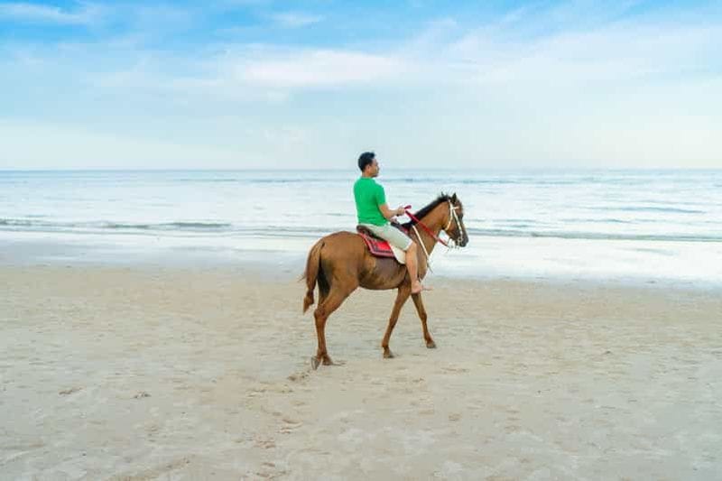 Billet Martinique : promenade à cheval et vue sur l'océan