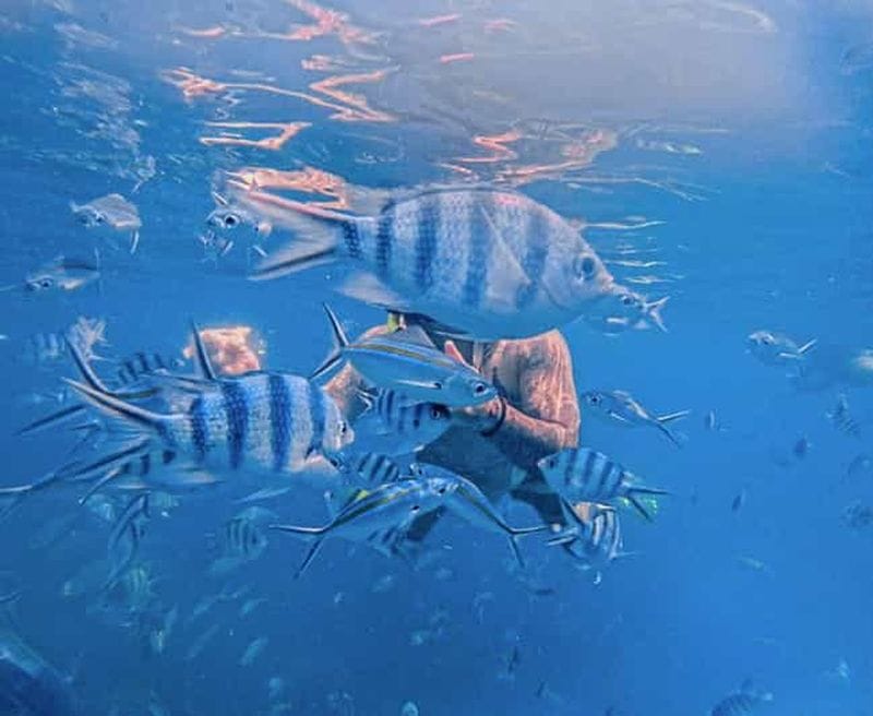 Billet Koh Chang : options de plongée avec tuba sur 3 ou 4 îles