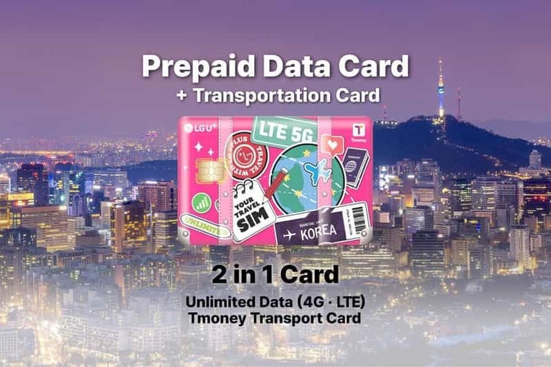 Billet Aéroport d'Incheon : Traveler SIM et carte de transport T-money