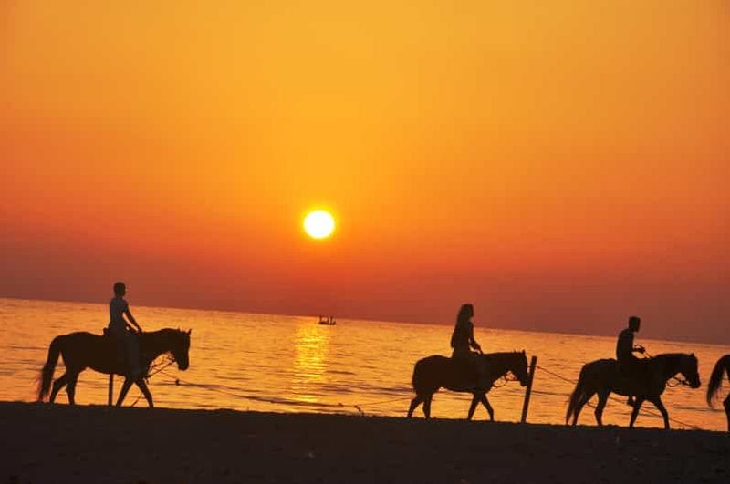 Billet Djerba : 2 heures d'équitation dans le lagon bleu.