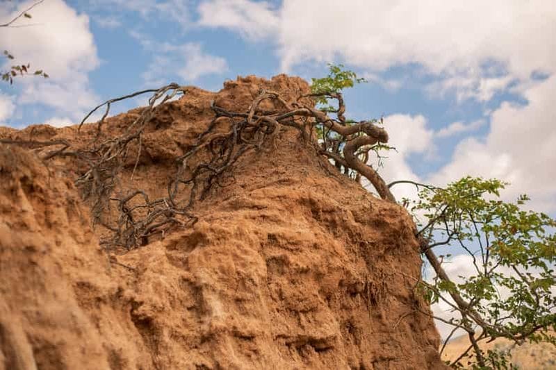 Billet Visite culturelle des piliers de Malape à Liwonde