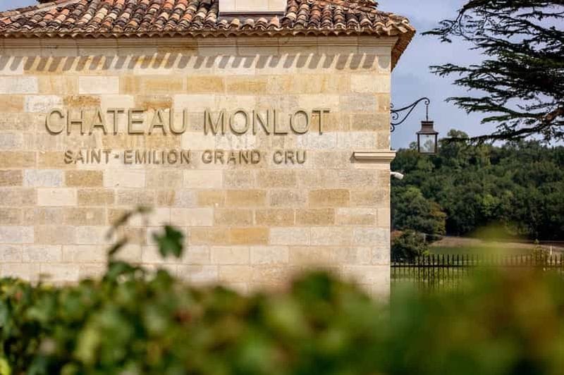 Billet Saint-Émilion : Visite du vignoble et dégustation de vins rouges et blancs