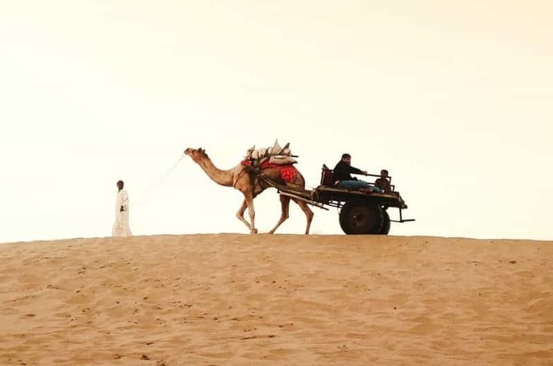 Billet Excursion de 8 jours au Triangle d'Or avec expérience dans le désert à Jaisalmer