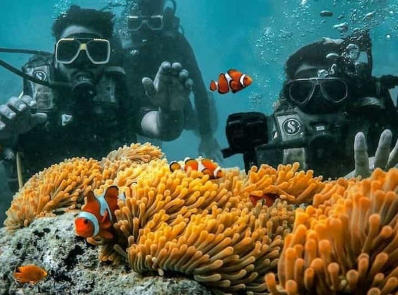 Billet Aventure Andaman avec plongée sous-marine - 3 nuits et 4 jours
