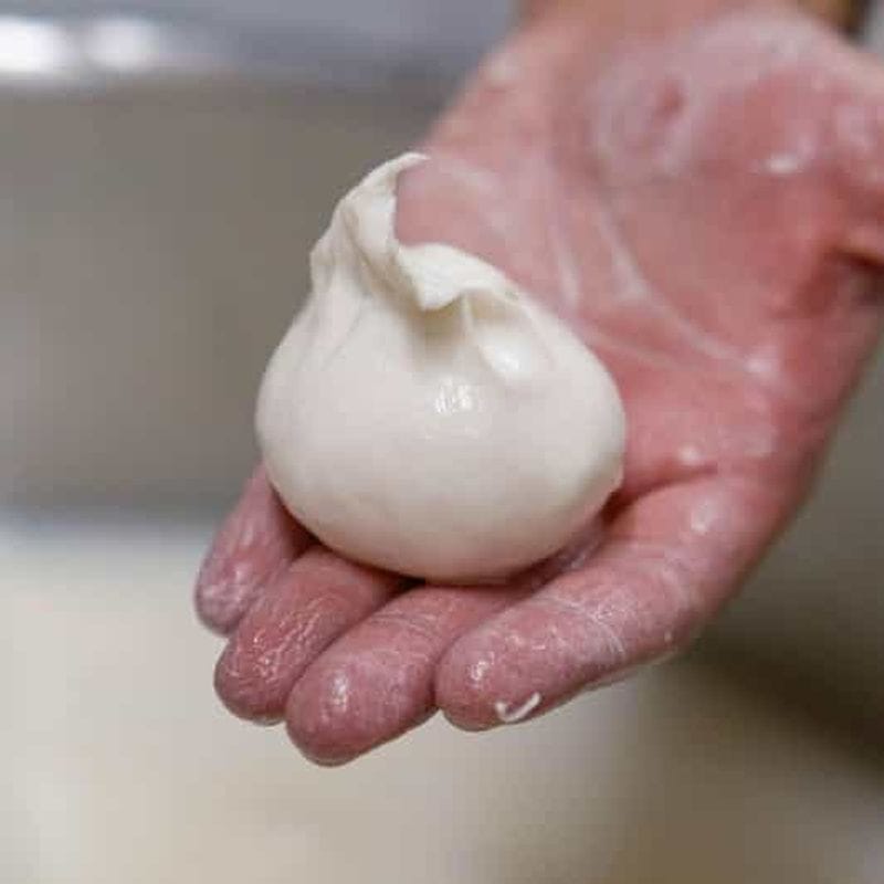 Billet Pouilles : visite de la Masseria Seppunisi, dégustation de fromage et de Burrata