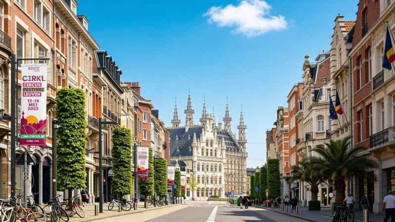 Billet Bonjour Louvain : visite privée de la ville à pied de 2 heures avec un guide de la région