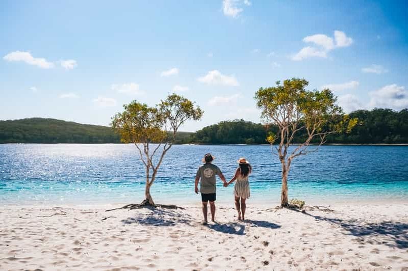 Billet Au départ de Hervey Bay : K'gari, visite d'une journée de l'île Fraser en autocar.