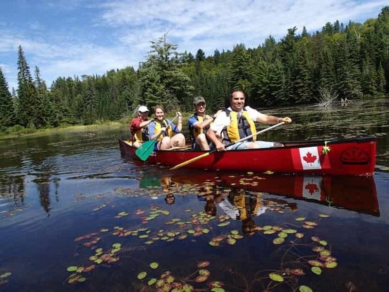 Billet Parc Algonquin : Visite guidée d'une journée en canot