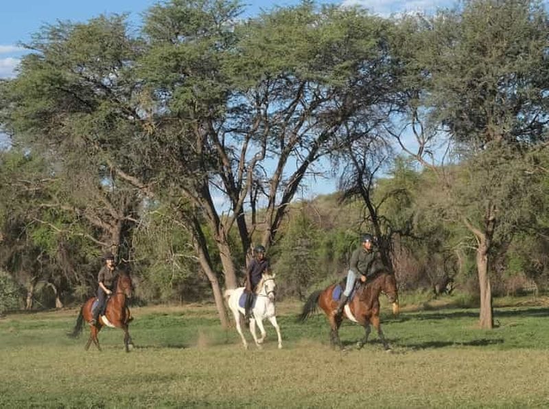 Billet Windhoek : safari à cheval au coucher du soleil, visite d'une demi-journée