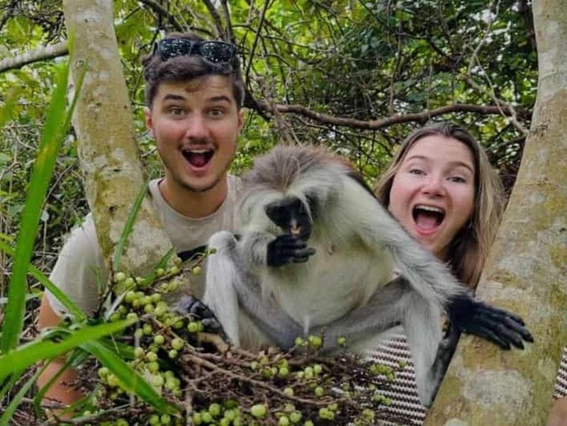 Billet Zanzibar : forêt de Jozani et grotte de Salaam + prise en charge et frais d'entrée