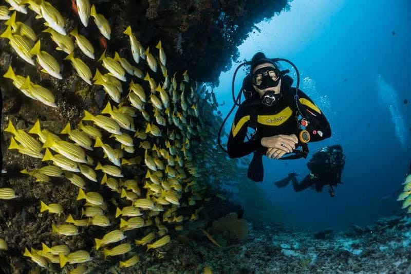 Billet Céphalonie : Initiation à la plongée sous-marine au village d'Agia Efimia