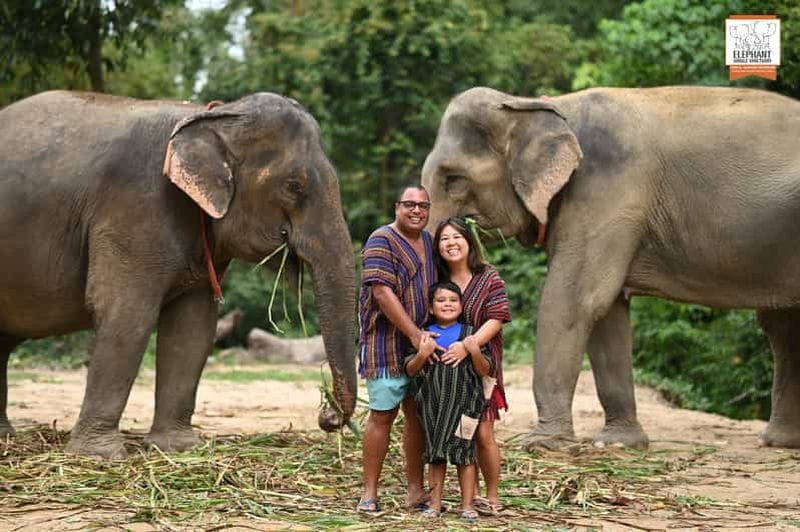 Billet Koh Samui : Entrée au sanctuaire des éléphants et expérience de nourrissage