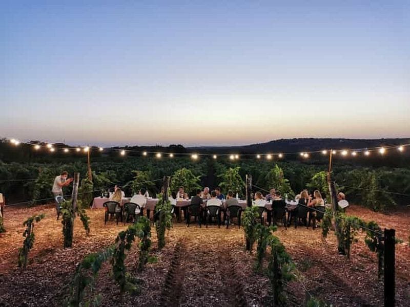 Billet Pouilles : Dégustation de vins guidée avec des amuse-gueules locaux