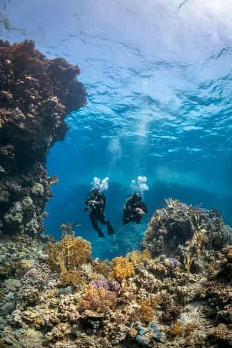 Billet Paros : sortie en bateau et plongée sous-marine (2 bouteilles) pour plongeurs certifiés