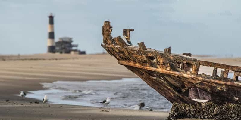 Billet Désert du Namib : lacs salés roses, colonie de phoques et Moon Valley