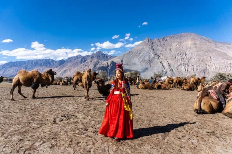 Billet Leh : excursion de 6 jours au Ladakh avec la vallée de Nubra et le lac Pangong