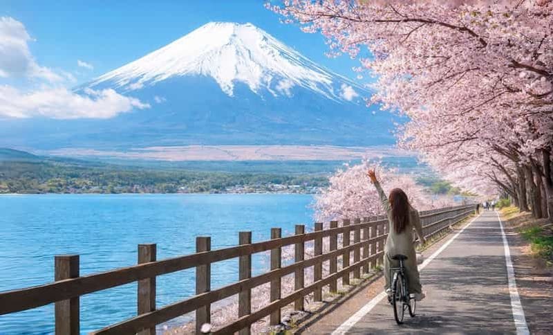 Billet Mont Fuji : visite d’une journée des 6 sites incontournables : parc Arakurayama, Oshino Hakkai