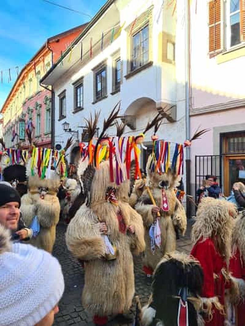 Billet Ptuj : visite citadine guidée avec entrée à la Maison du Kurent et au musée