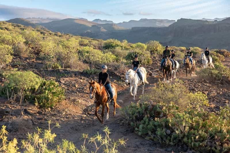 Billet El Salobre : aventure à cheval avec options de transfert