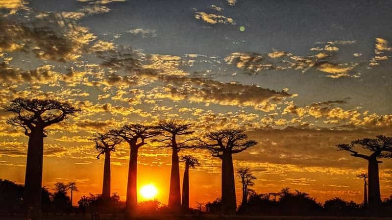 Billet Morondava : 3 jours sur l'avenue des Baobabs et dans les Tsingy de Bemaraha