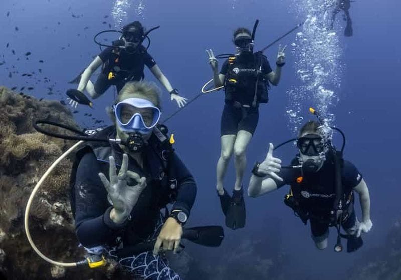 Billet Koh Tao : formation de plongée PADI Premium Open Water (2,5 jours)