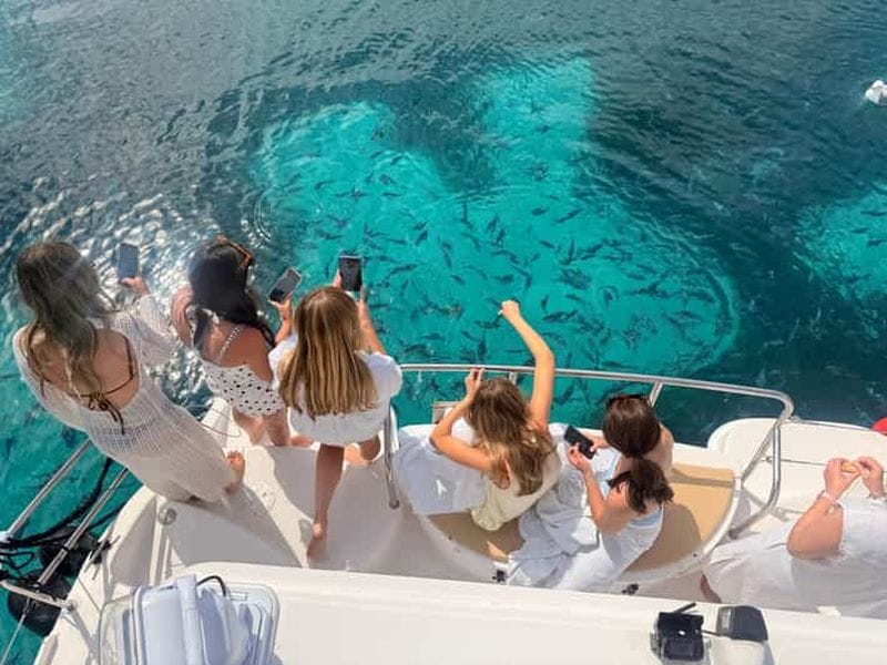 Billet Croisière magique en catamaran à Cannes ! Paddle et plongée