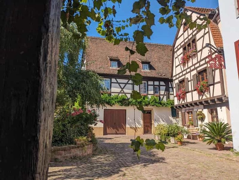 Billet Colmar : visite guidée insolite avec un guide régionaliste
