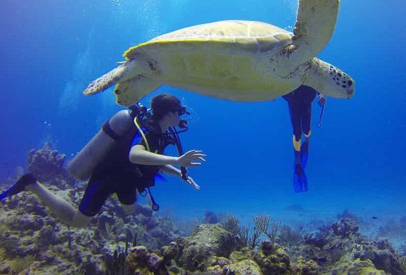Billet Plongée sous-marine à Faliraki et Kolymbia pour débutants et petits groupes