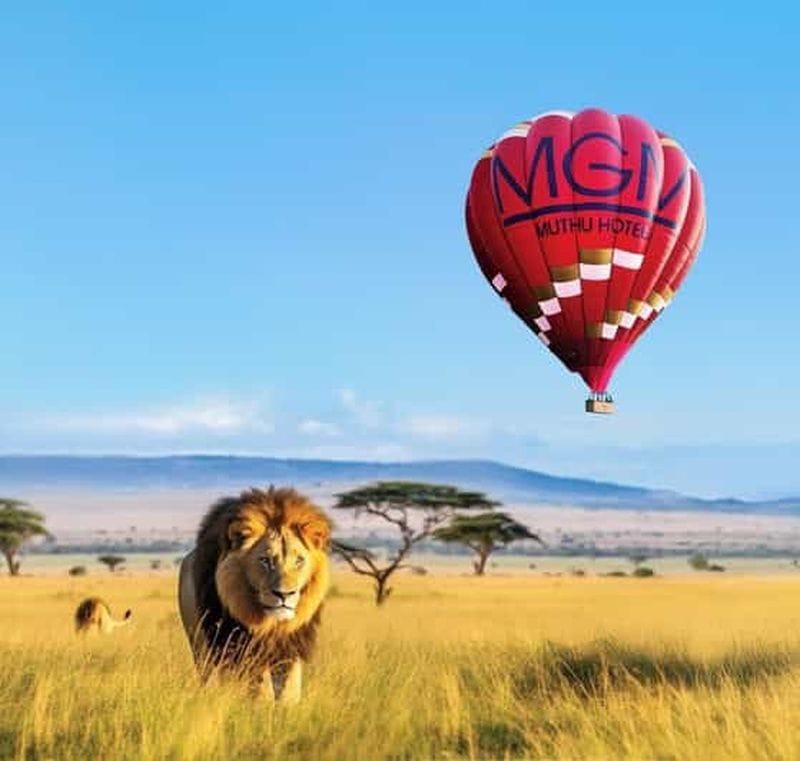 Billet Sossusvlei : balade en montgolfière au lever du soleil avec champagne
