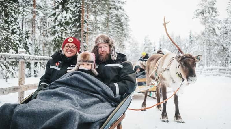 Billet Rovaniemi : promenade en traîneau à rennes de 2 km à travers la forêt
