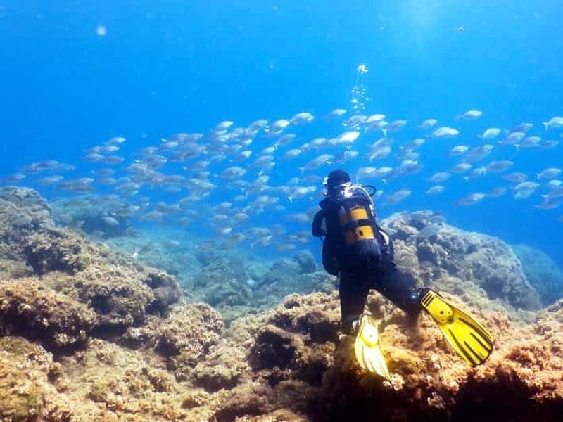 Billet Rhodes : Aventure de plongée pour les débutants et les experts