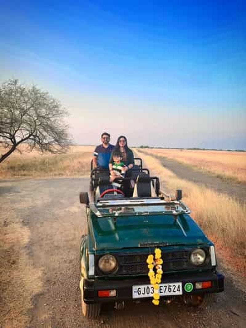 Billet Ahmedabad : safari guidé privé au parc national de Velavadar