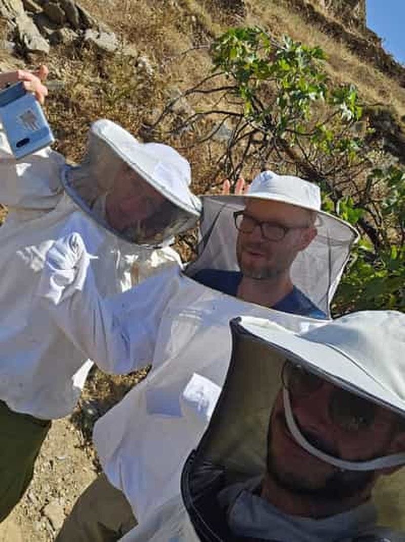 Billet Kythnos : expérience apicole et dégustation de miel