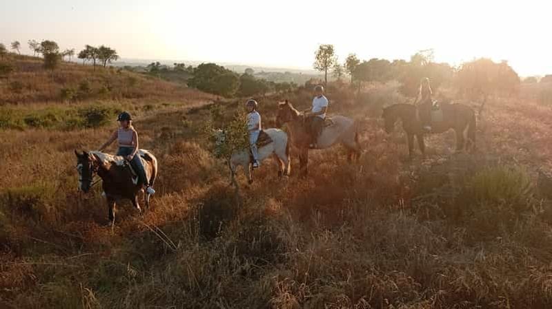 Billet Costa Alentejana : randonnée équestre dans la Serra de Grândola