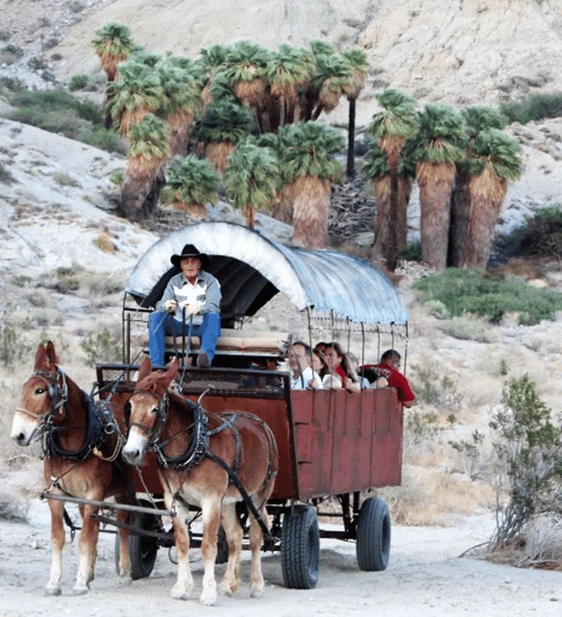 Billet Palm Desert : aventure en charrette couverte tirée par des mules