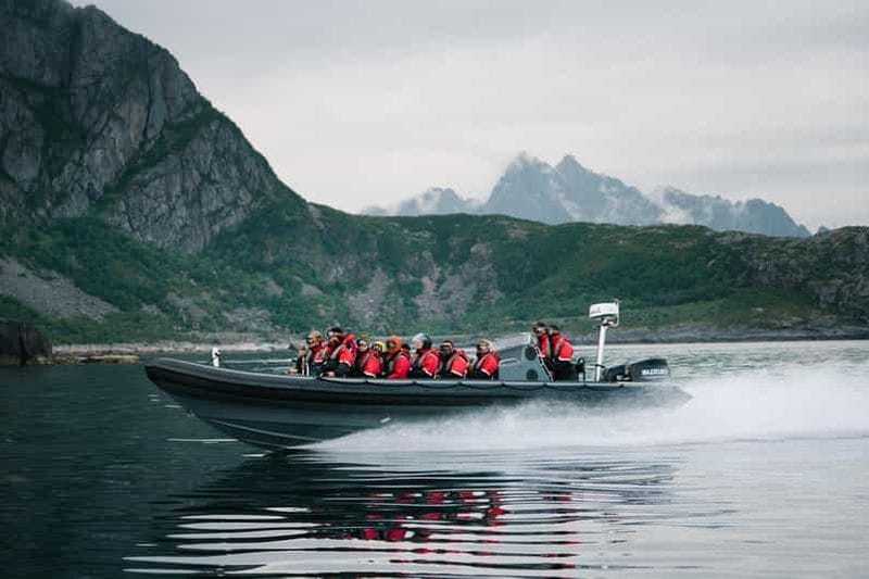 Billet Depuis Svolvær : safari en bateau semi-rigide à la découverte des pygargues de mer du Trollfjord, dans les Lofoten