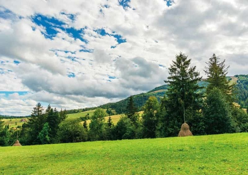 Billet Davao : visite d’une journée au parc d’aventure de Dahilayan