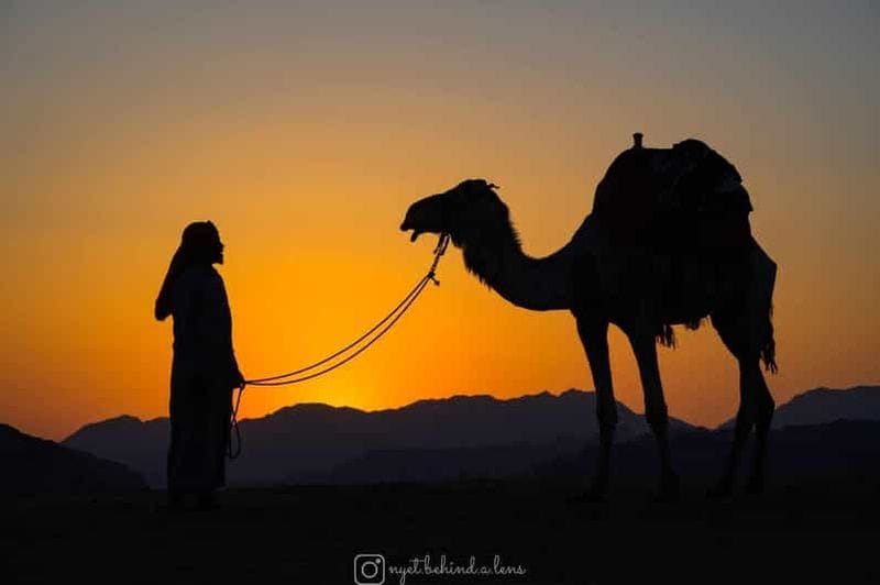 Billet Wadi Rum : Balade à dos de chameau avec thé et guide bédouin