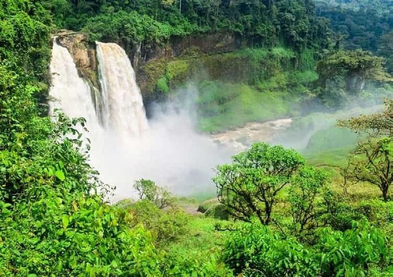 Billet Yaoundé : randonnée immersive pour se reconnecter à la nature et à soi