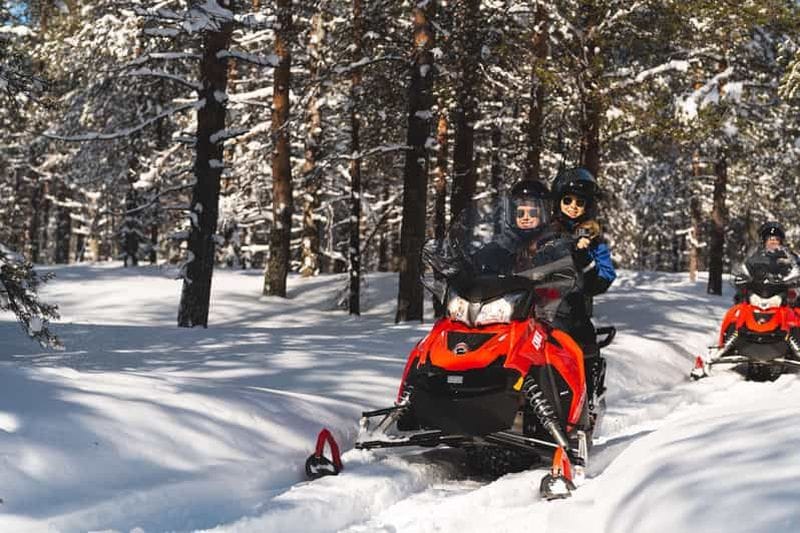 Billet Rovaniemi : Safari en motoneige dans la forêt du cercle arctique