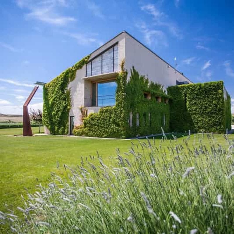Billet Tudela : visite express et dégustation d'huile d'olive Artajo